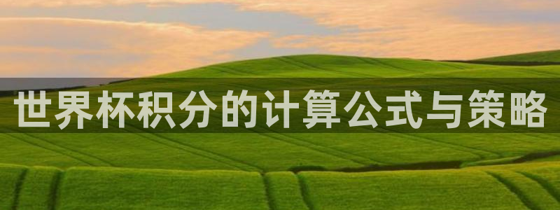 美洲杯直播:世界杯积分的计算公式与策略