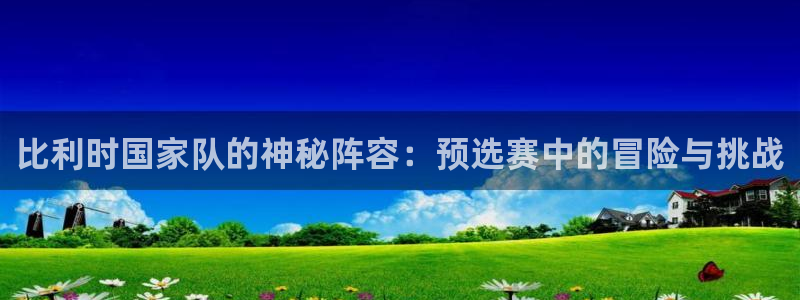 世界杯预选赛欧洲区赛程:比利时国家队的神秘阵容:预选赛中的冒险与挑战