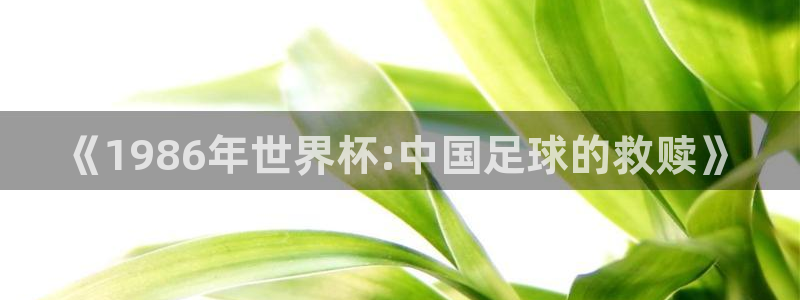 2026世界杯亚洲预选赛:《1986年世界杯:中国足球的救赎》