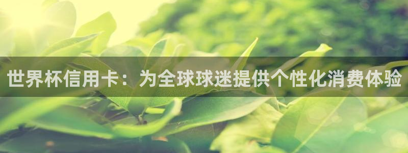 2026世界杯倒计时:世界杯信用卡:为全球球迷提供个性化消费体验